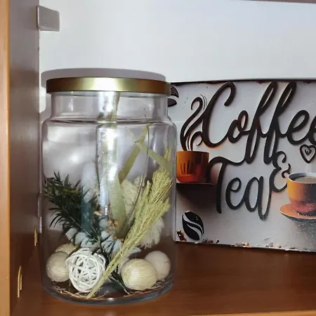 Petite Urban Oasis Pressburg