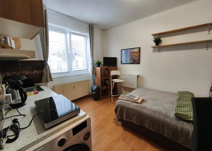 Petite Urban Oasis Апартаменты Братислава
